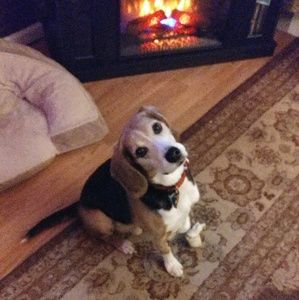 Meet your Posher, Brittney